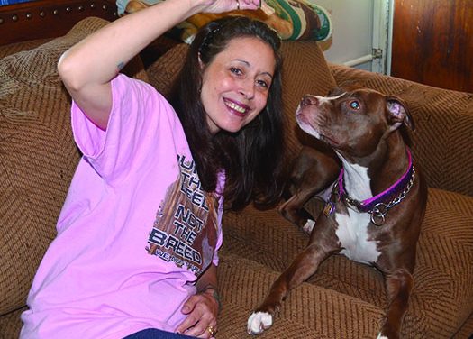 Pit bull’s actions help save owner’s life