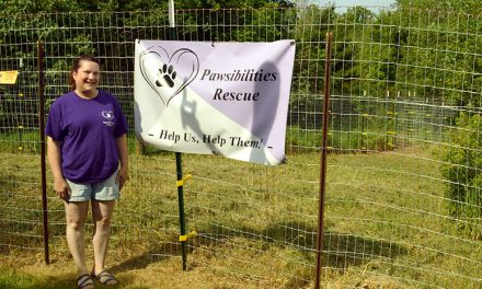 Pawsibilities Rescue embodies  owner’s passion for helping animals
