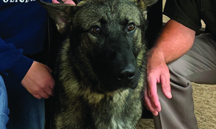 Eaton County Sheriff’s Office has a new K9