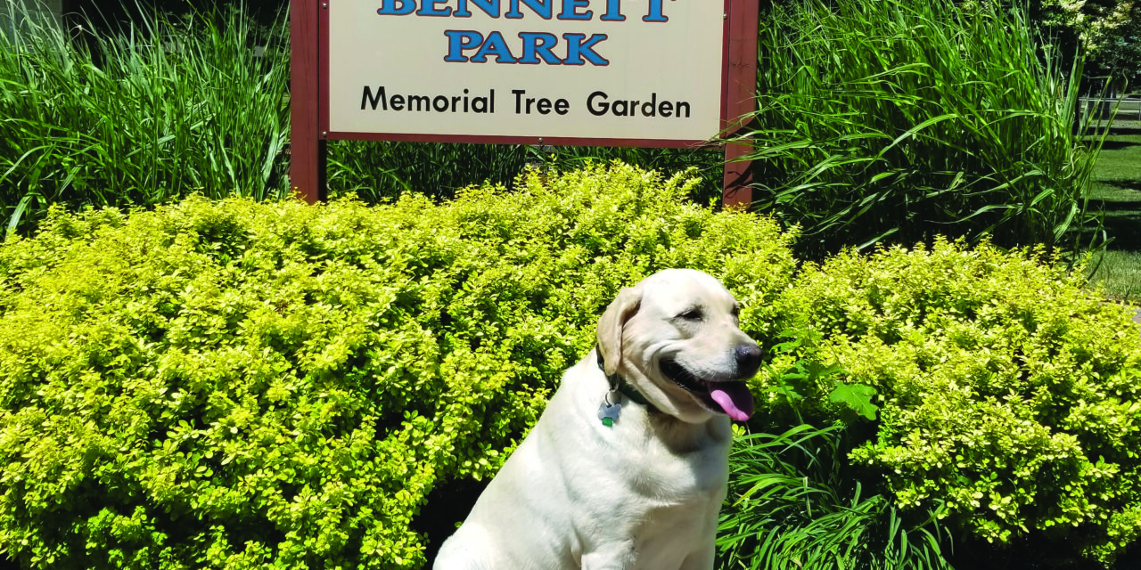 Adventurous Aggie Visits Bennett Park